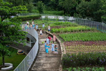 Farming Kindergarten21_Quang Tran