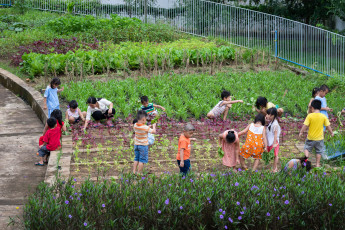 Farming Kindergarten22_Quang Tran