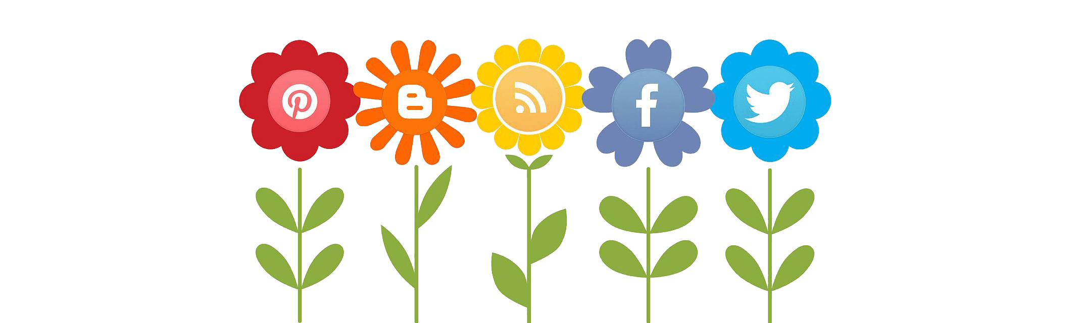 Social Media is on the way