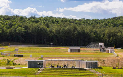 Sharon Fieldhouse