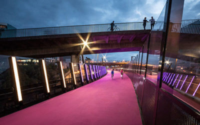Light Path