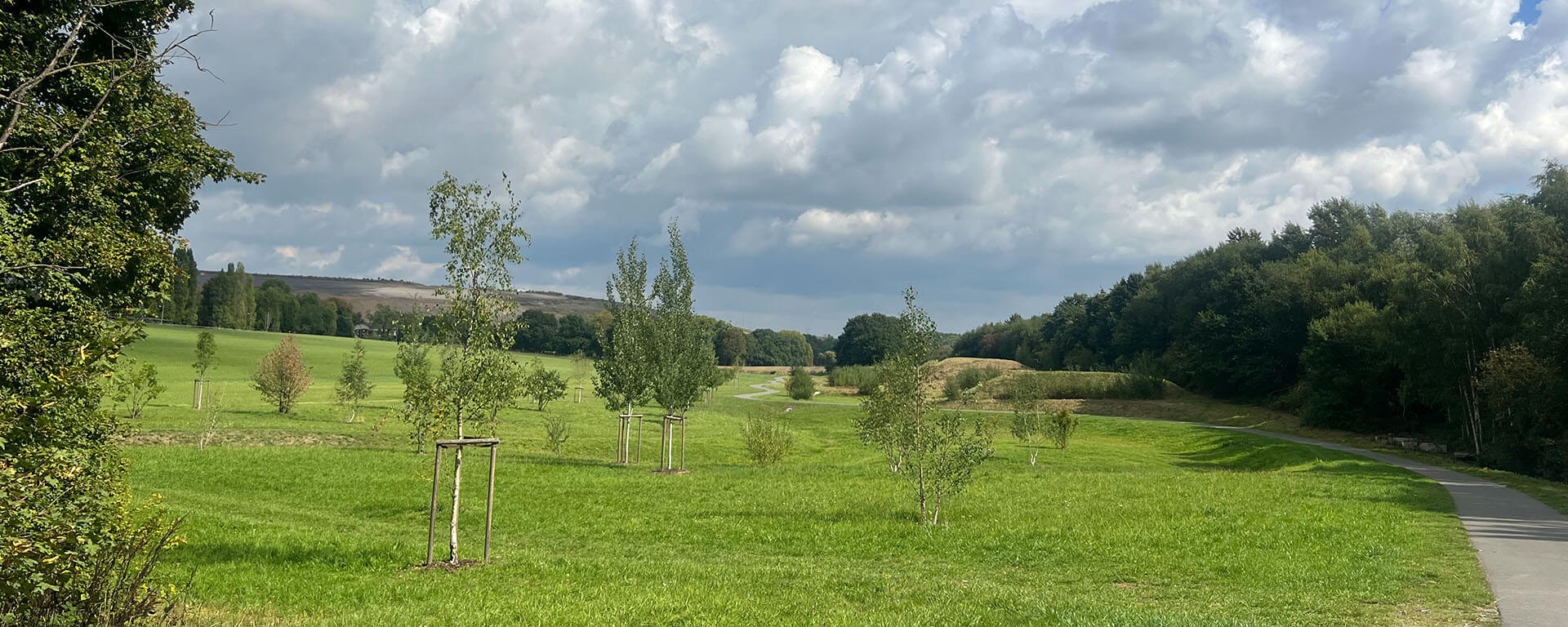 1920px_IMG_5624
