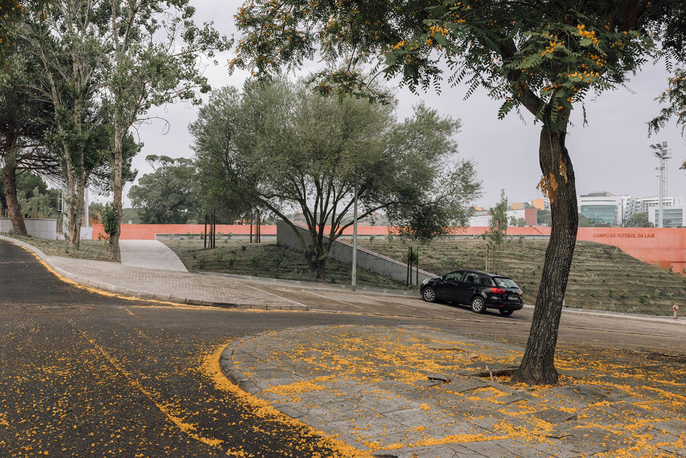 1400px_065_35-LTA1156_2000x1334