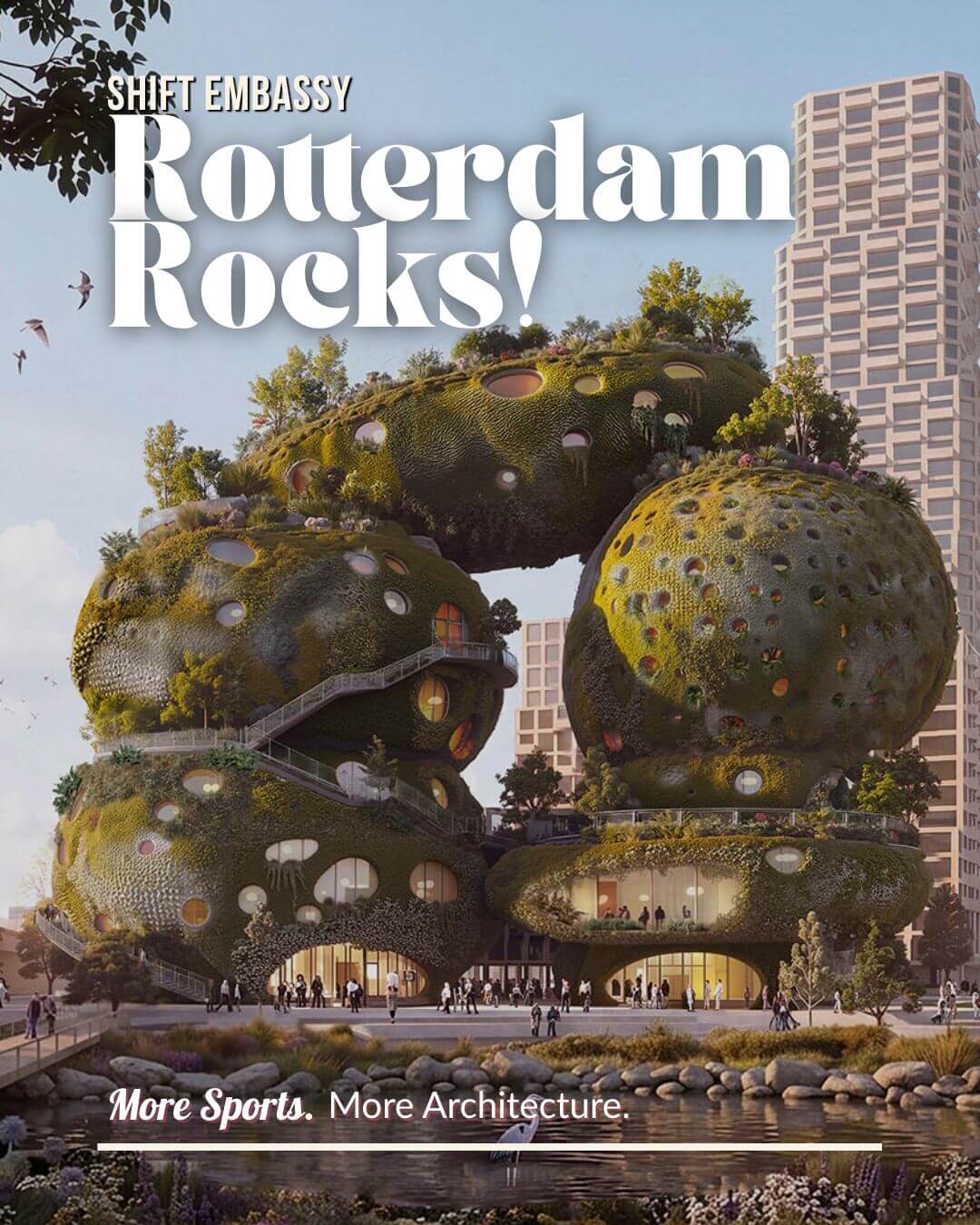 Rotterdam Rocks!